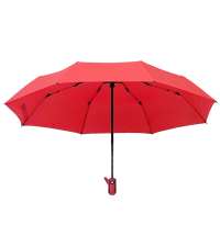 Автоматический противоштормовой зонт Dakota, красный