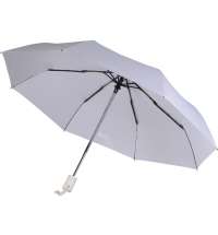 Зонт складной «Сторм-Лейк»