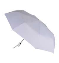 Зонт складной «Сторм-Лейк»
