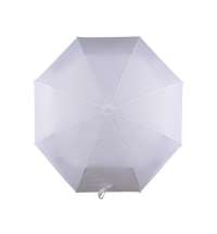 Зонт складной «Сторм-Лейк»