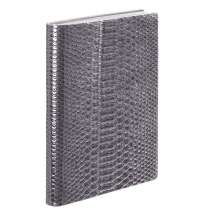 Ежедневник Anaconda, недатированный, серебристый