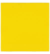 Лейбл тканевый Epsilon, L, желтый