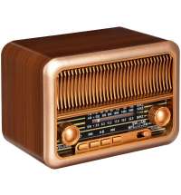 Bluetooth-колонка с радио Beatnik, коричневая