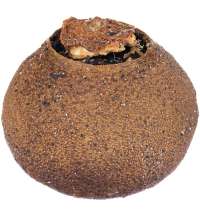 Черный чай Citrus в апельсине с маслом лайма