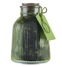 Чай «Сокочай» в зеленой декоративной банке, черный с клюквой и имбирем