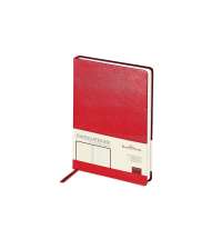 Ежедневник недатированный А5 «Megapolis»