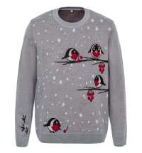 Джемпер Birds and Berries