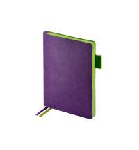 Ежедневник недатированный А5 «Boston»