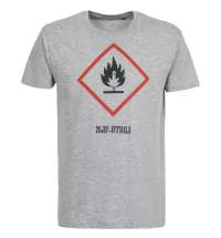 Футболка «Жар-птица», серый меланж