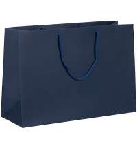 Пакет бумажный Ample Plus M, синий