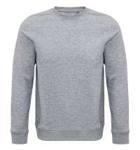 Свитшот унисекс Comet, серый меланж