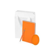 Подарочный набор Auris, оранжевый (ежедневник, зарядное устройство, ручка)