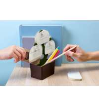 Органайзер настольный Bonsai