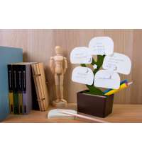 Органайзер настольный Bonsai