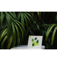 Набор магнитов Тропики