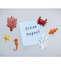 Магниты Ocean Ecology