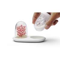 Солонка и перечница Coral Bleaching