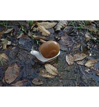 Дозатор мыла ESCAR, коричневый