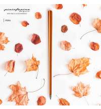 Вечная ручка Pininfarina Forever Prima RUST