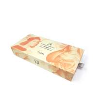 Вечная ручка Pininfarina PIUMA RAPHAEL URBINAS