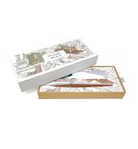 Шариковая ручка Pininfarina Piuma ROMA