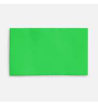 Лейбл тканевый Epsilon, M, зеленый неон