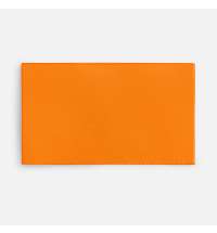 Лейбл тканевый Epsilon, M, оранжевый неон