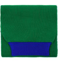 Шарф Snappy, зеленый с синим