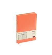 Ежедневник недатированный А5 «Polo»