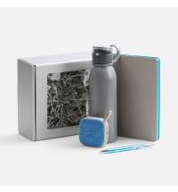 Набор Flexpen Flow, серый с бирюзовым