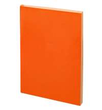 Ежедневник Flat Mini, недатированный, оранжевый