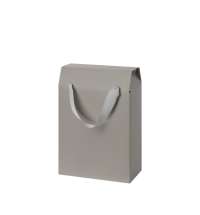 Подарочная коробка-пакет универсальная малая, серая