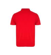 Рубашка поло «Austral» мужская