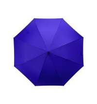 Зонт-трость полуавтомат &laquo;Wetty&raquo; с проявляющимся рисунком