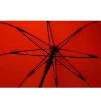 Зонт-трость полуавтомат «Wetty» с проявляющимся рисунком