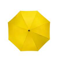 Зонт-трость полуавтомат «Wetty» с проявляющимся рисунком