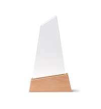 Стеклянная награда NAVIS