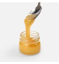 Мед Colmena, донниковый