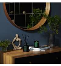 Диффузор ароматический Mizu, зеленый