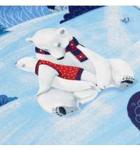 Набор «Мишкин очаг»