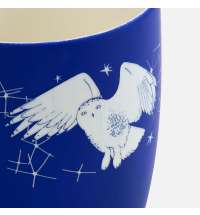 Набор «Волшебство повсюду»