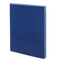 Ежедневник Flat, недатированный, синий, ver.2