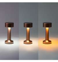 Настольная лампа c встроенной батареей REIKI, черный