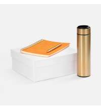 Набор Spiral Gold, оранжевый