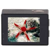 Экшн-камера Digma DiCam 300, серая