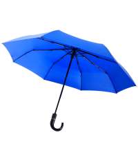 Автоматический противоштормовой зонт Congress, синий