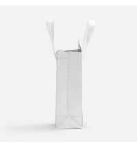 Термосумка для напитков &laquo;Термобэг&raquo; на заказ, XS