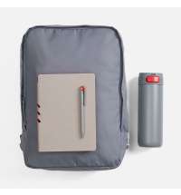 Набор Flexpen Travel, серый с красным