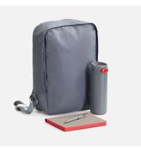 Набор Flexpen Travel, серый с красным