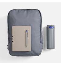 Набор Flexpen Travel, серый с синим